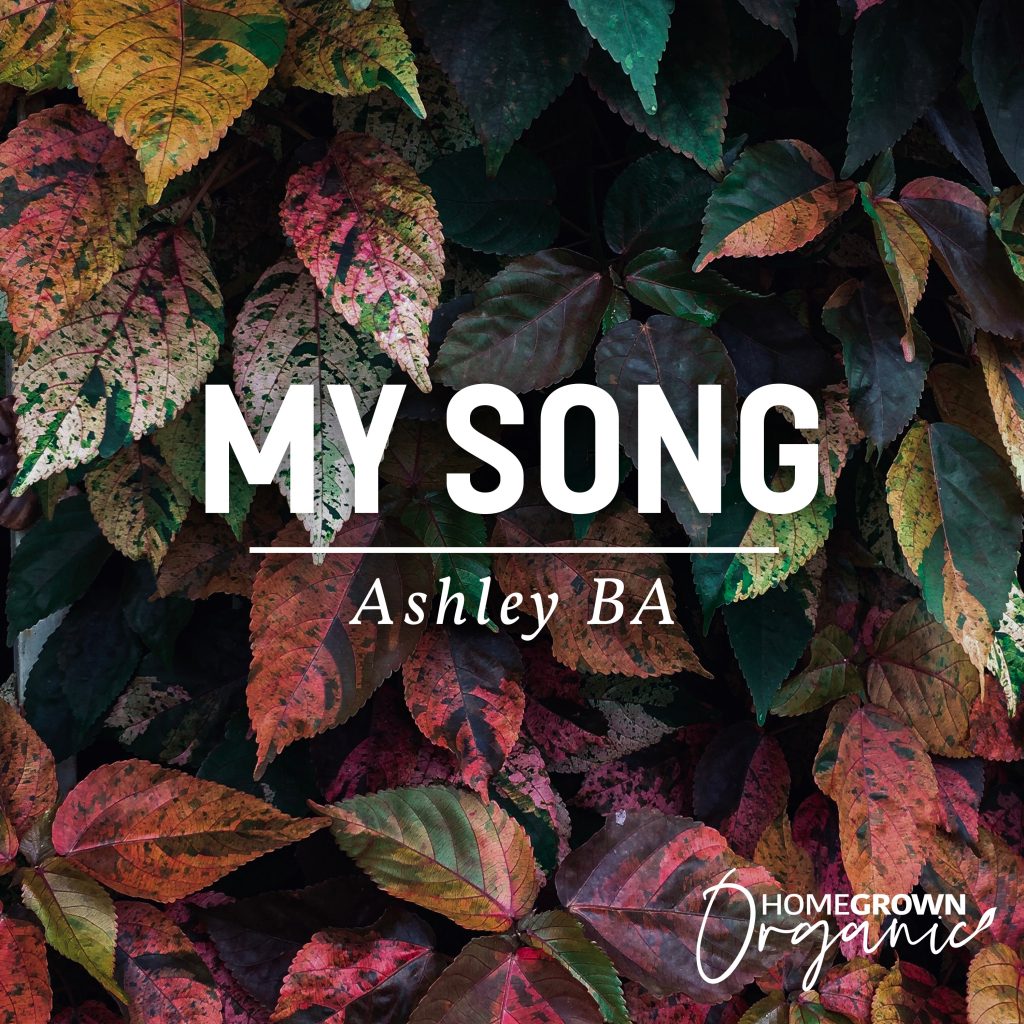 Lyrics Video: MY SONG – Ashley BA Music