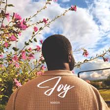 Marizu – Joy